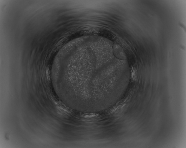 X0000092290819200710051200