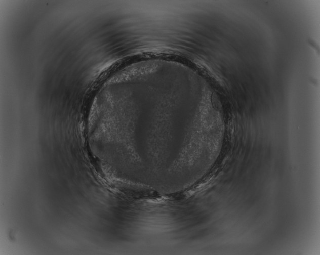 X0000092290822200710051200