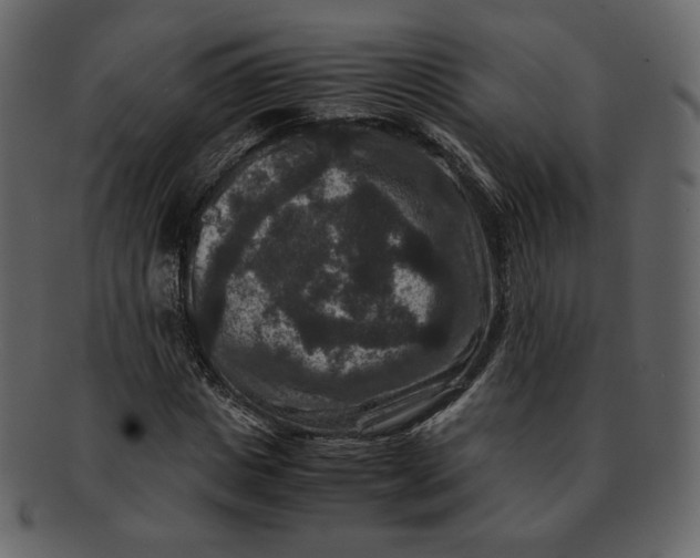 X0000092290825200710051200