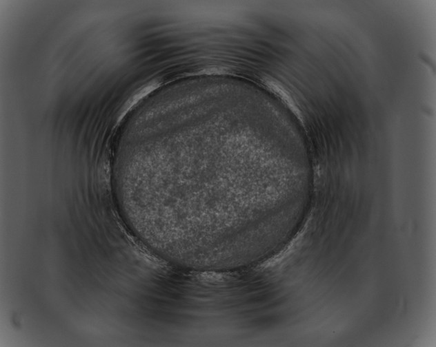 X0000092290827200710051200