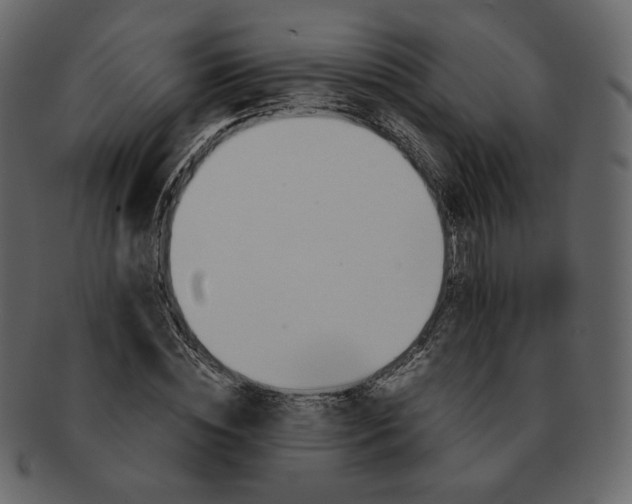 X0000092290828200710051200