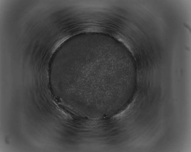 X0000092290829200710051200