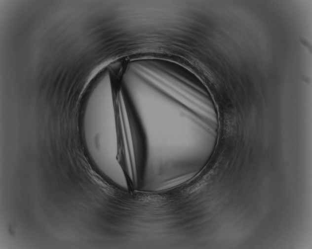 X0000092290830200710051200