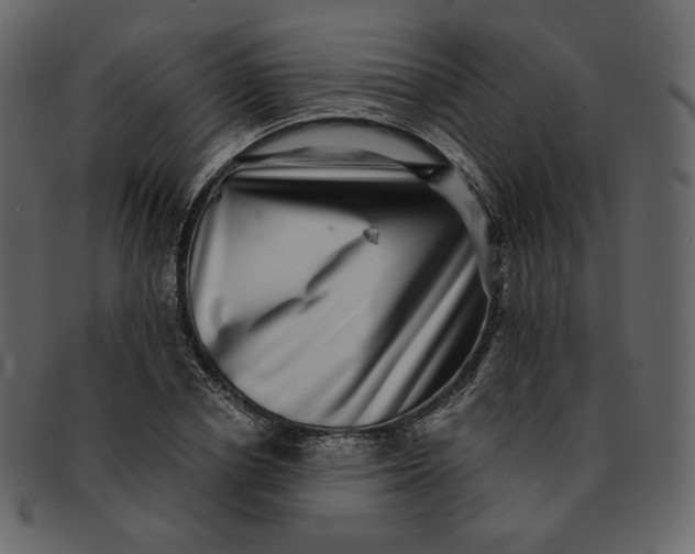 X0000092290834200710051200