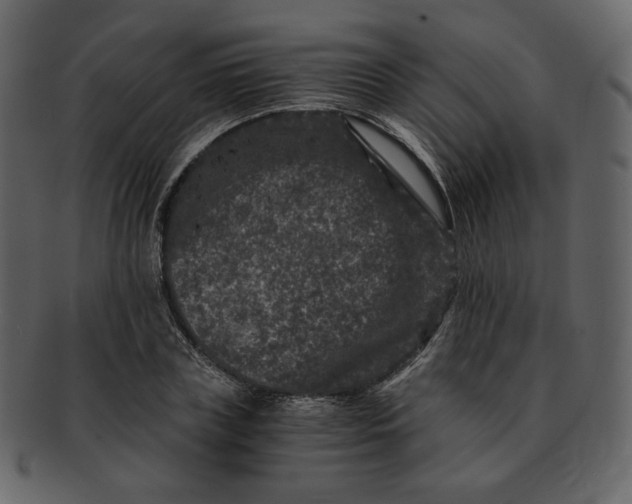 X0000092290835200710051200