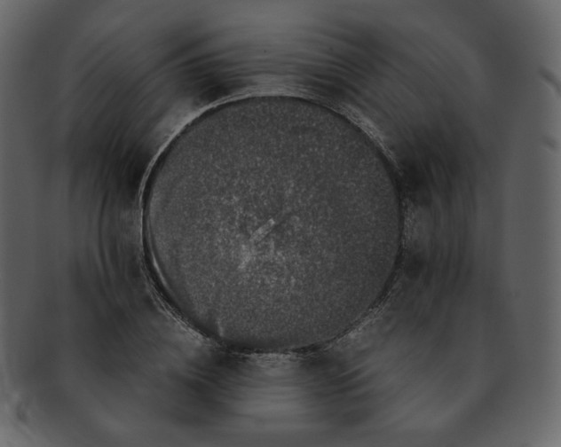 X0000092290836200710051200