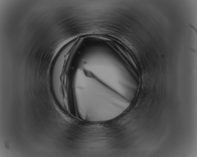 X0000092290838200710051200