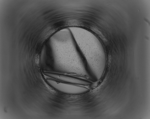 X0000092290841200710051200