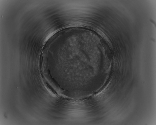 X0000092290842200710051200