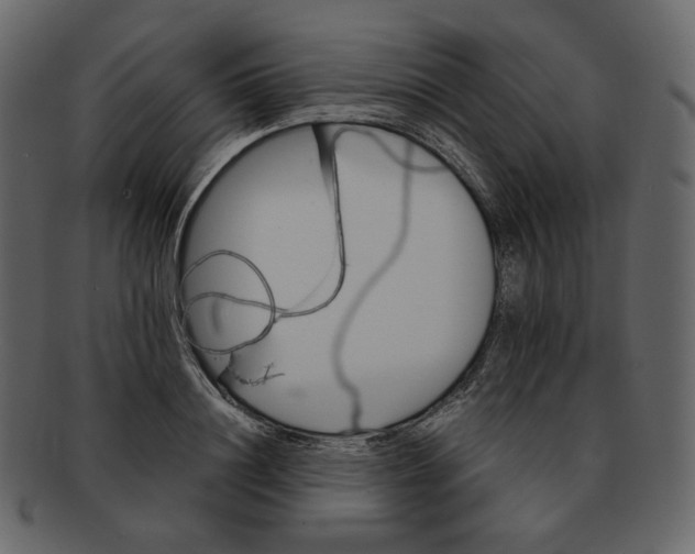 X0000092290844200710051200