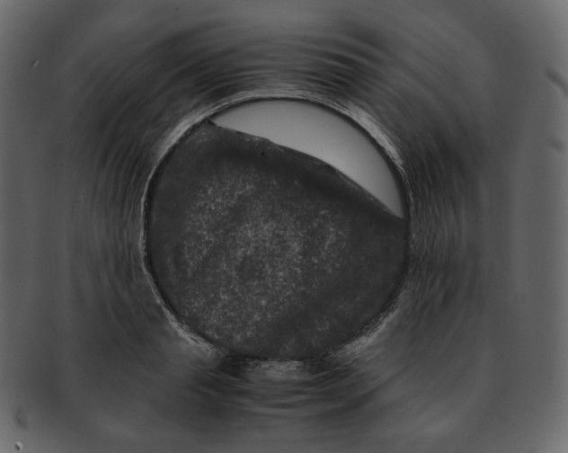 X0000092290845200710051200