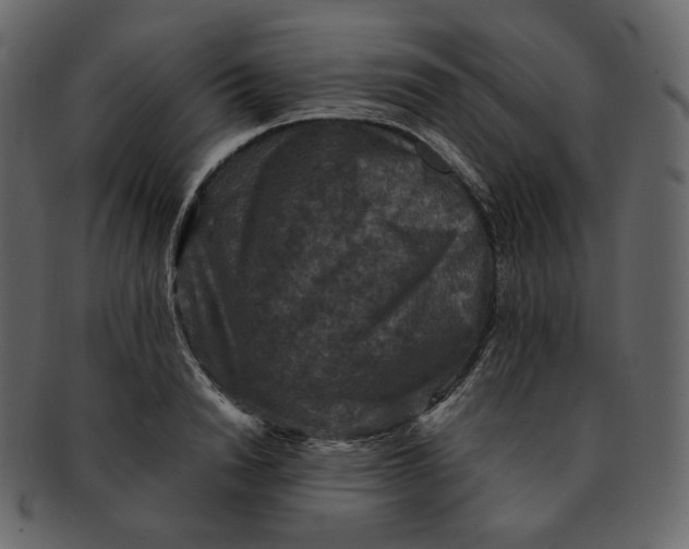 X0000092290846200710051200