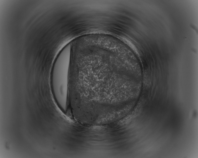 X0000092290847200710051200