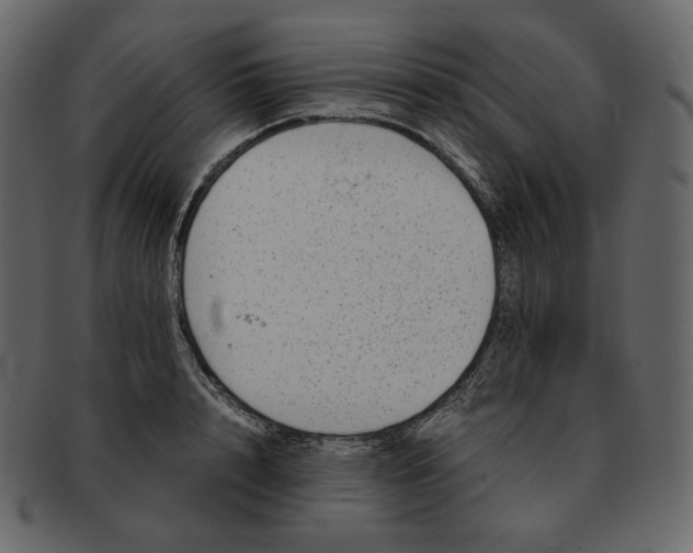 X0000092290848200710051200