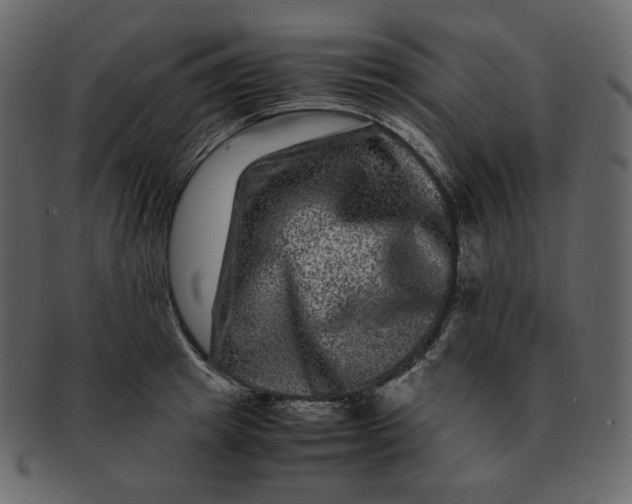 X0000092290849200710051200