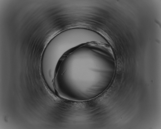 X0000092290850200710051200