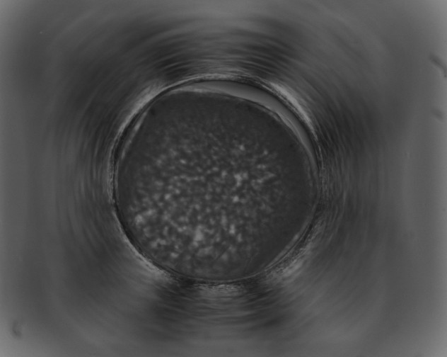 X0000092290851200710051200