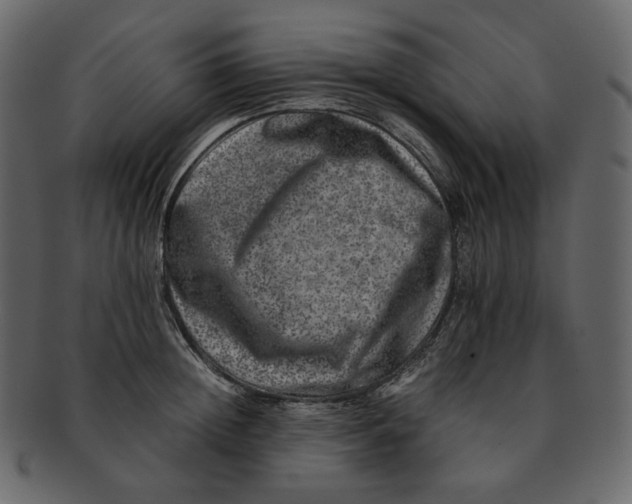 X0000092290852200710051200