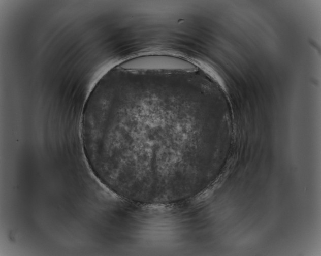 X0000092290855200710051200