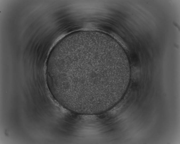 X0000092290856200710051200