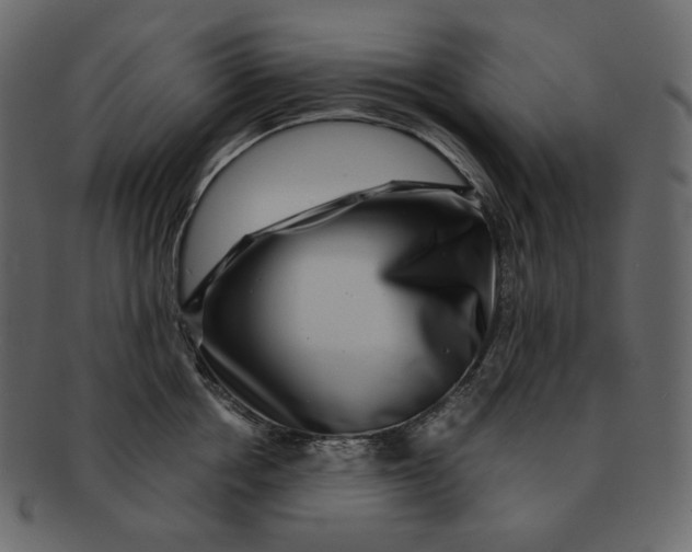 X0000092290858200710051200