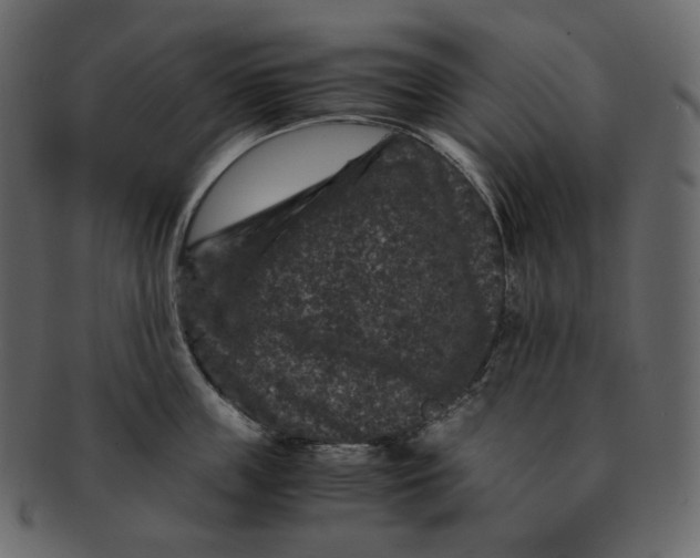 X0000092290859200710051200