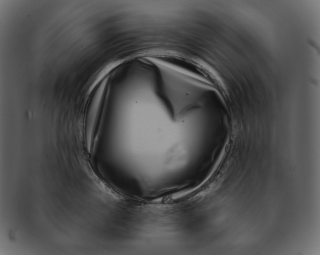 X0000092290860200710051200