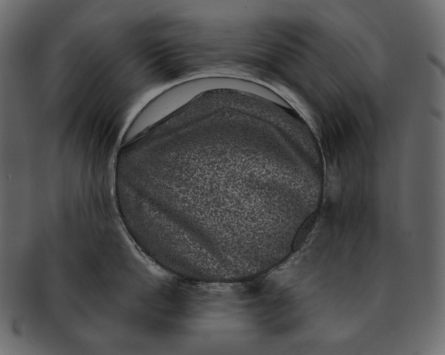 X0000092290862200710051200