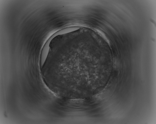 X0000092290863200710051200