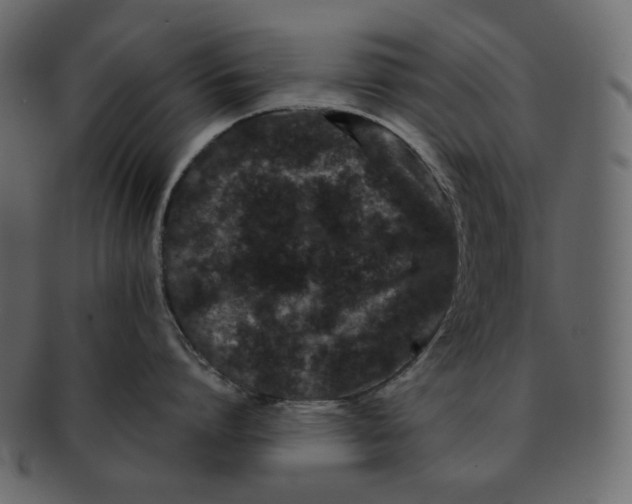 X0000092290864200710051200