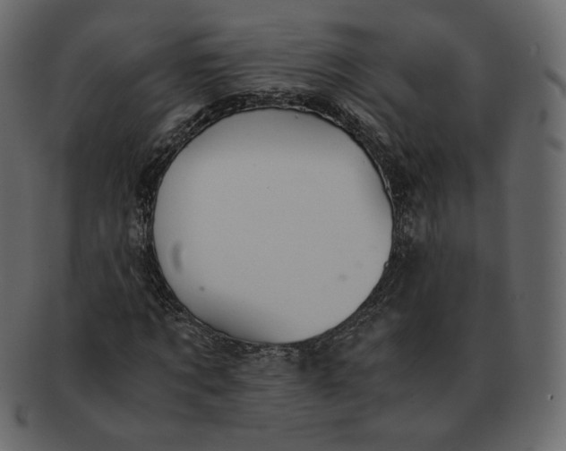 X0000092290869200710051200