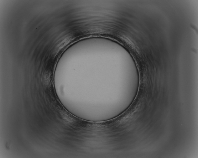 X0000092290873200710051200