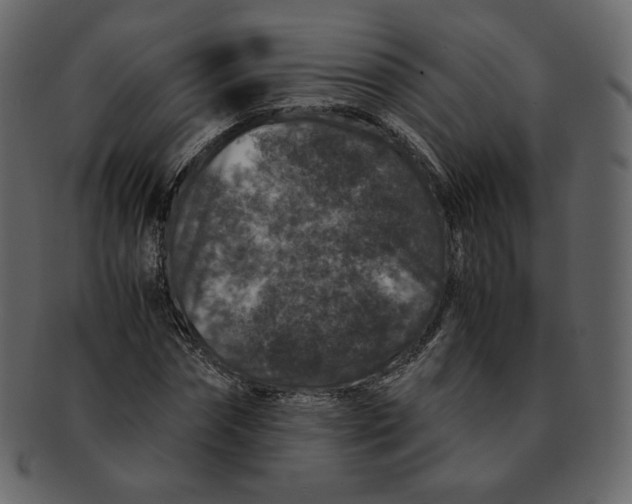 X0000092290874200710051200