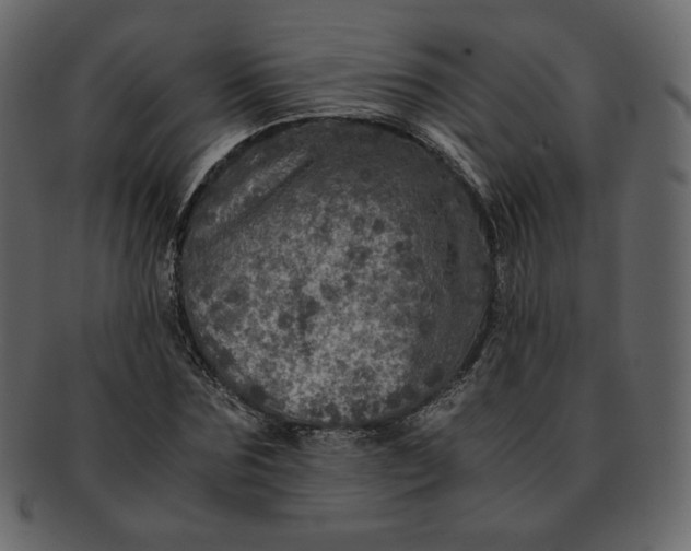 X0000092290875200710051200