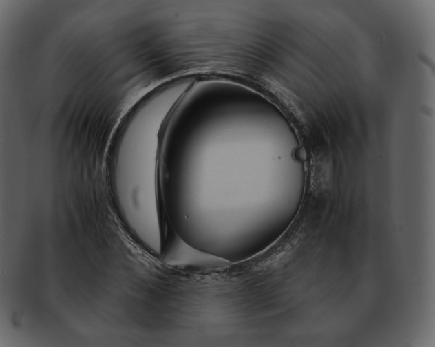 X0000092290876200710051200