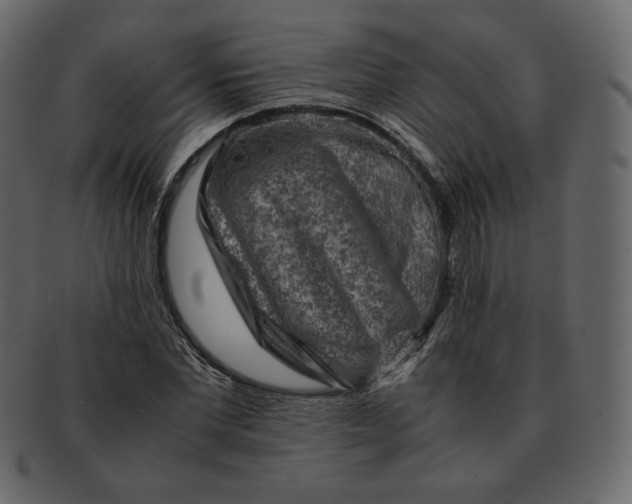 X0000092290877200710051200