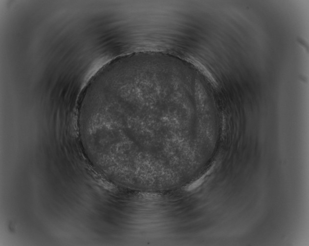 X0000092290878200710051200