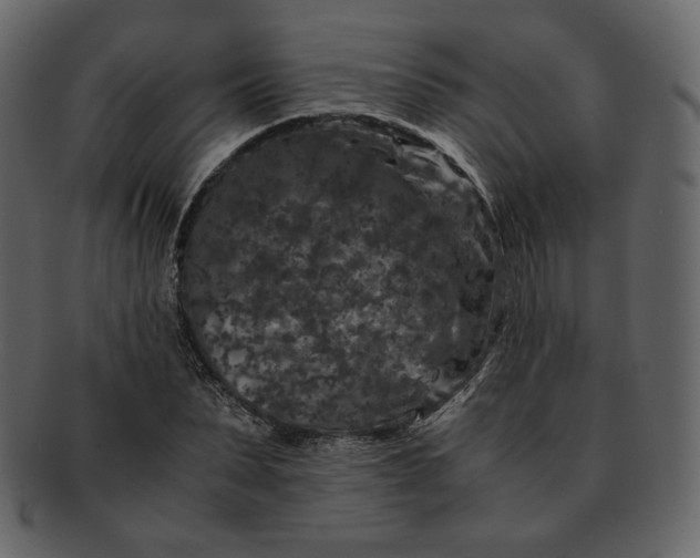 X0000092290879200710051200