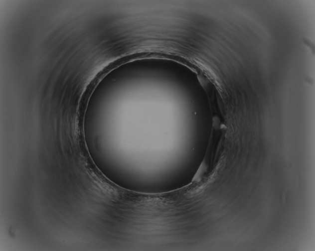 X0000092290880200710051200