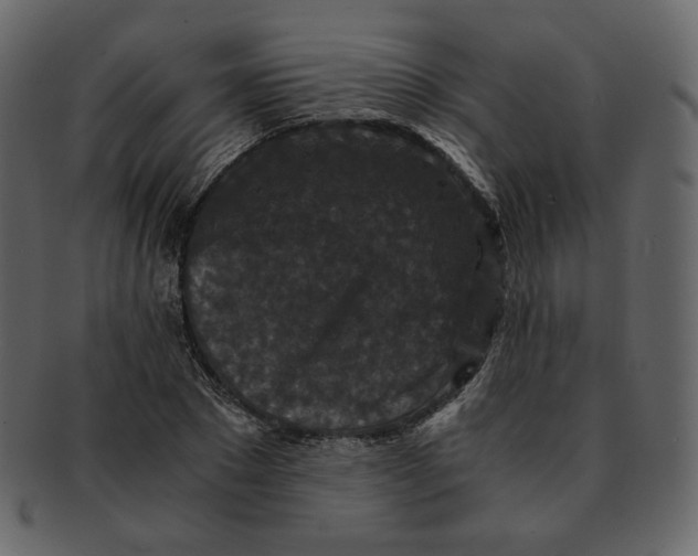 X0000092290881200710051200