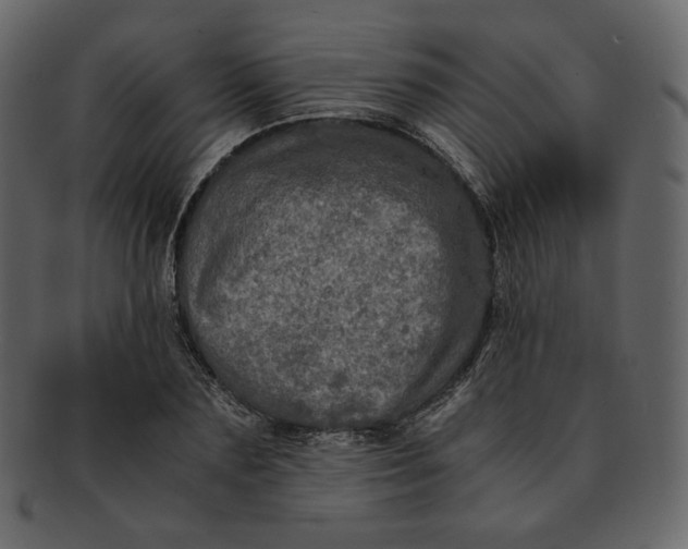 X0000092290883200710051200