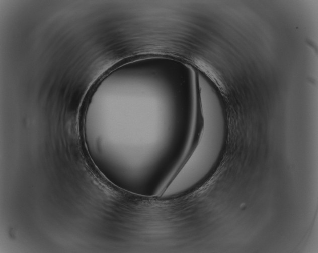 X0000092290884200710051200