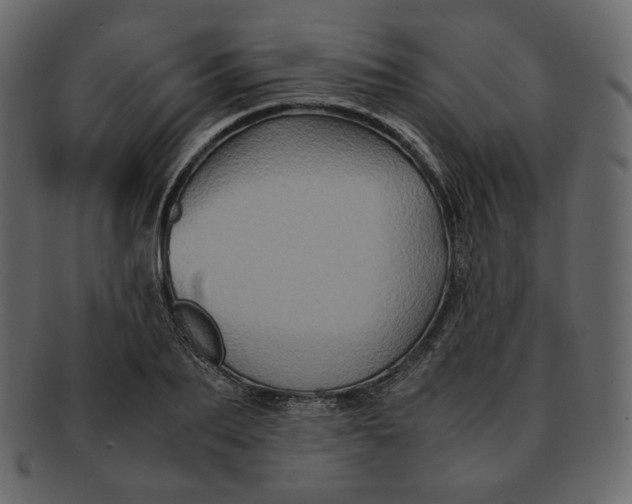 X0000092290887200710051200