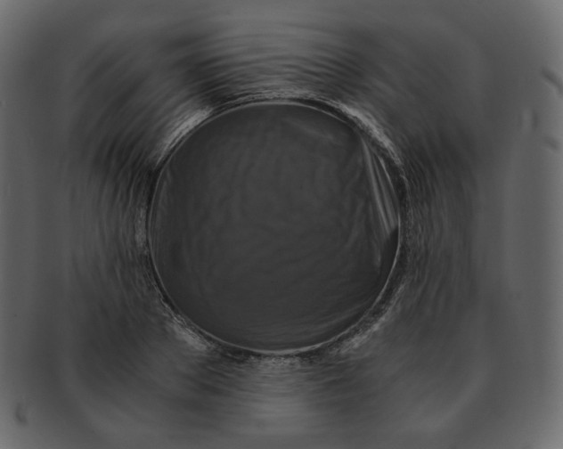 X0000092290889200710051200