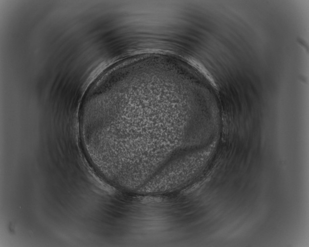 X0000092290890200710051200