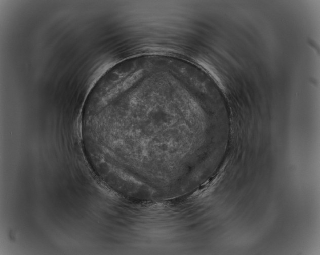 X0000092290891200710051200