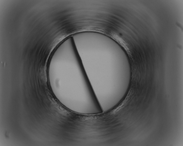 X0000092290892200710051200