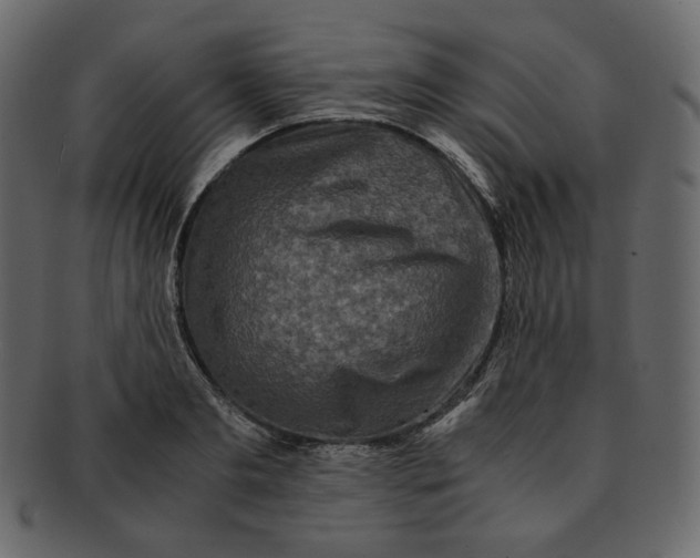 X0000092290893200710051200