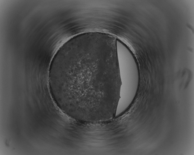 X0000092290895200710051159