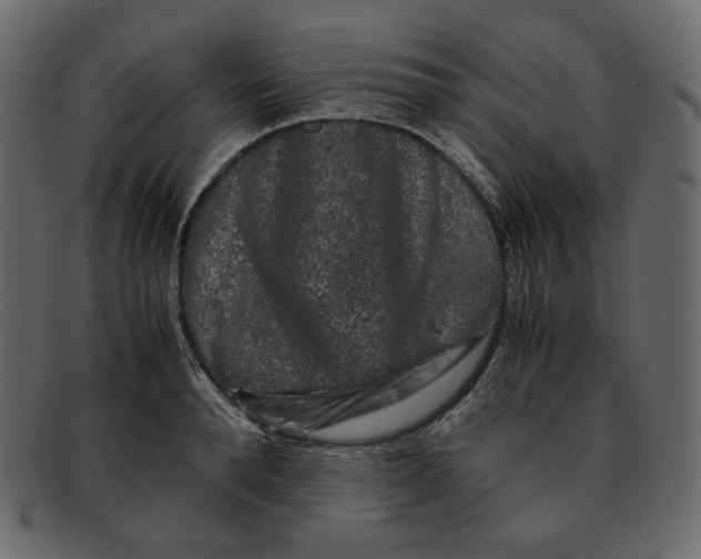 X0000092290896200710051159